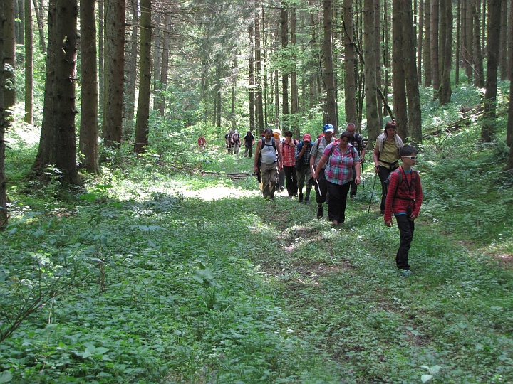 Wanderung 2014_102.jpg